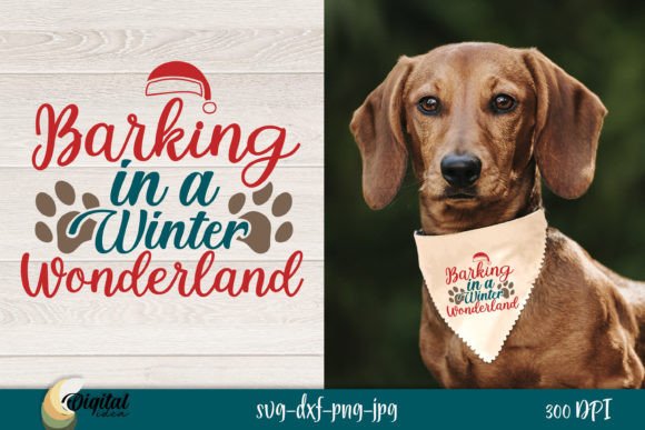 Barking in a Winter Wonderland: A Design Review for Real Projects